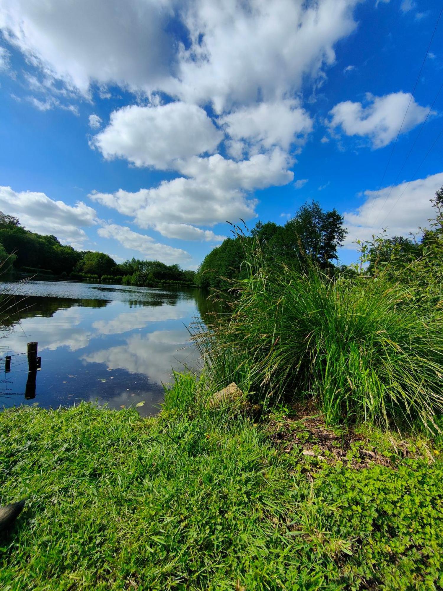 Gite De L Etang Du Planchon Balledent Экстерьер фото